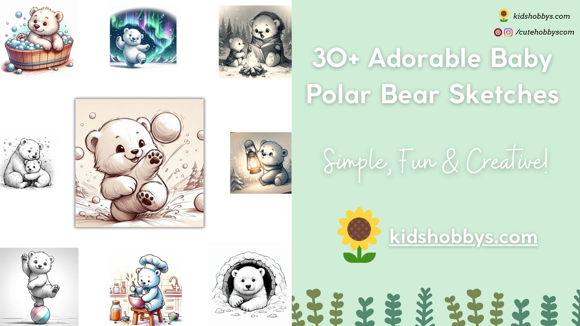 Adorable Baby Polar Bear Sketches for Drawings